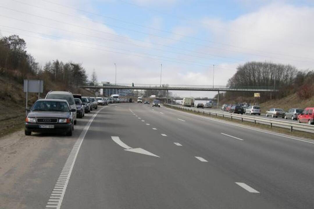 Prasidėjo paroda „Ką pasėsi... 2009“