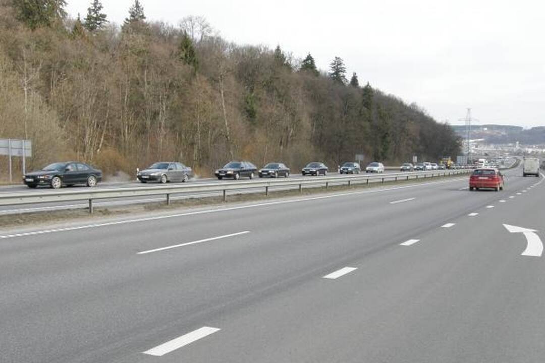 Prasidėjo paroda „Ką pasėsi... 2009“