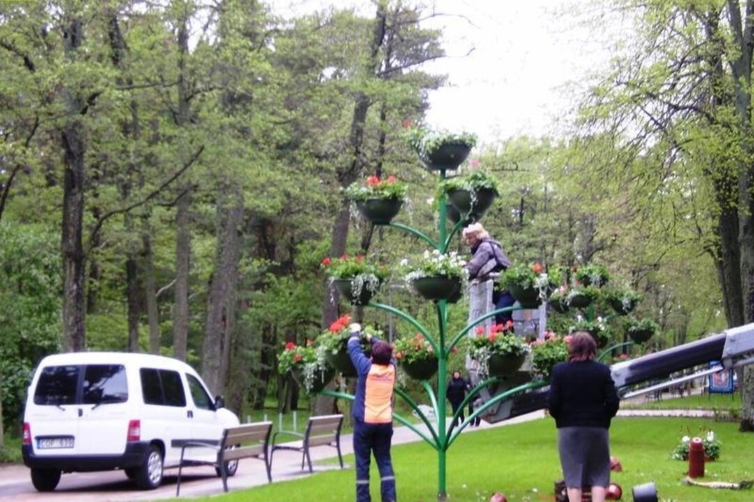 Svečių laukiančioje Palangoje – nauji gėlynai