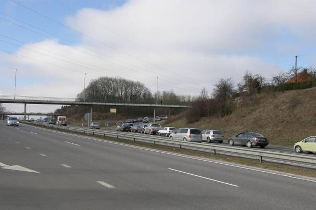 Prasidėjo paroda „Ką pasėsi... 2009“
