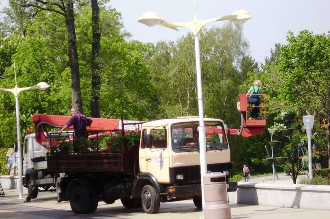 Svečių laukiančioje Palangoje – nauji gėlynai