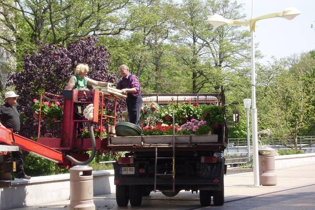 Svečių laukiančioje Palangoje – nauji gėlynai