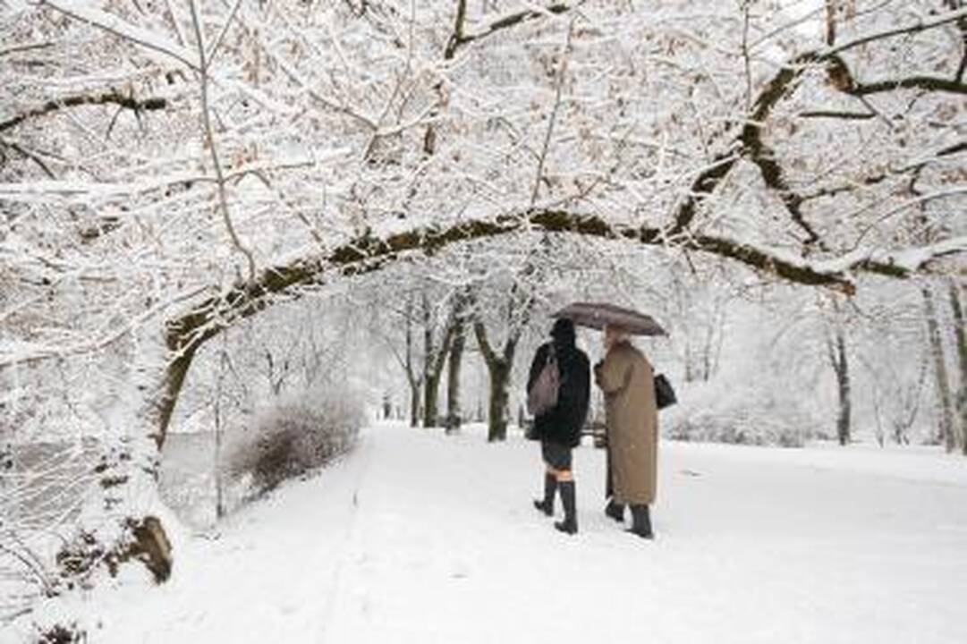 Europos parke Vasario 16-ąją – daugybė angelų