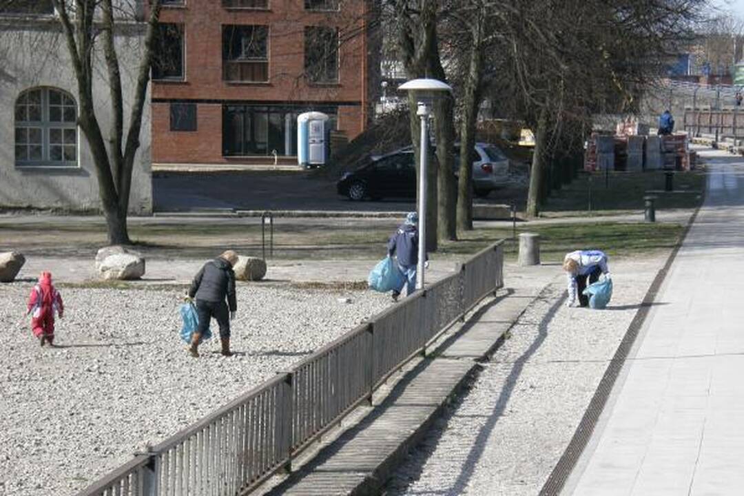 „Darom'10“ Klaipėdoje: tūkstančiai žmonių tvarkė miestą (papildyta)