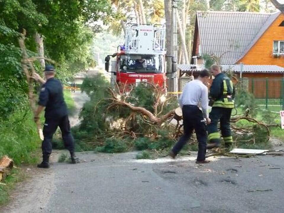 Lampėdžiuose nupjauta nulūžusi pušies šaka