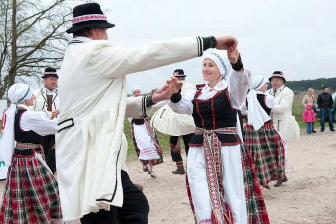 Tūkstantmečio ąžuolyne pasodinta dar 5 tūkst. ąžuolų