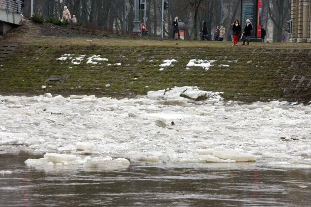„KultFlux“ platforma nuplauks iki Kauno? (papildyta)