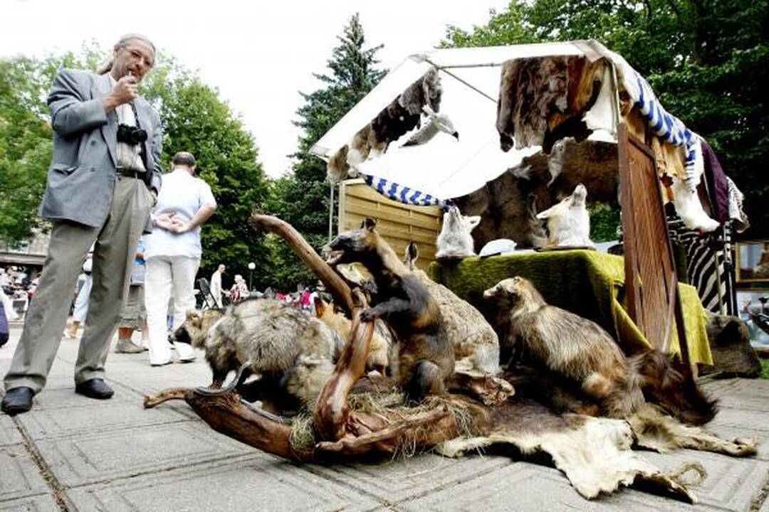 Klaipėdoje prasideda jubiliejinė Jūros šventė