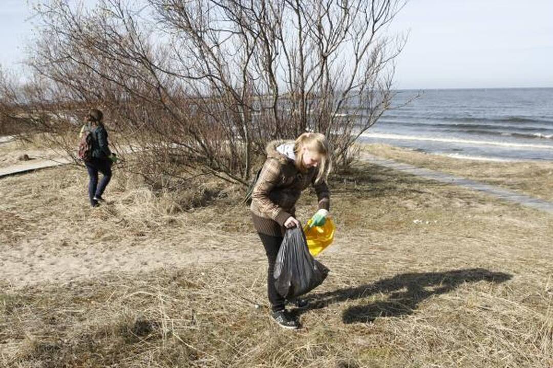 „Darom'10“ Klaipėdoje: tūkstančiai žmonių tvarkė miestą (papildyta)