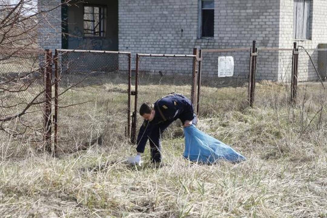 „Darom'10“ Klaipėdoje: tūkstančiai žmonių tvarkė miestą (papildyta)