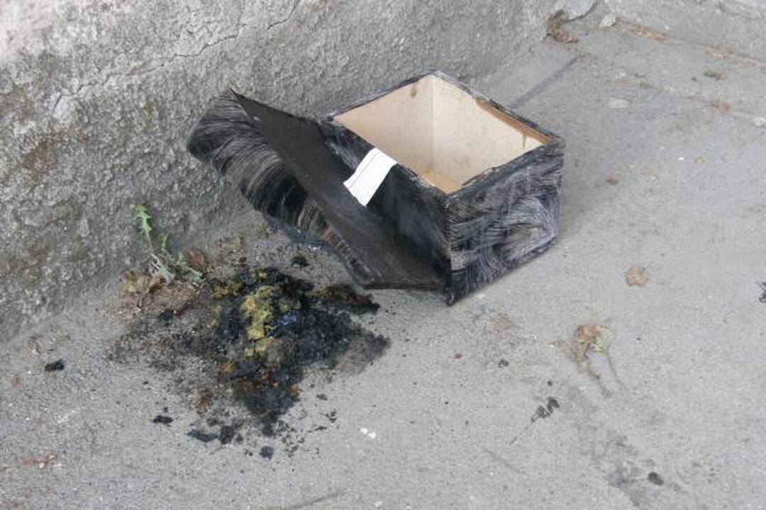 Viename iš Klaipėdos butų kilo gaisras