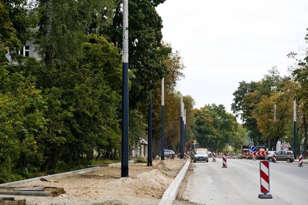 Pjūklo gali sulaukti trečdalis A.Juozapavičiaus prospekto medžių