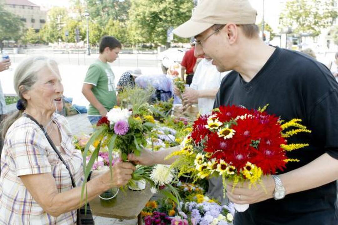 Žolinė sostinėje - su svajonėmis apie "kermošių"