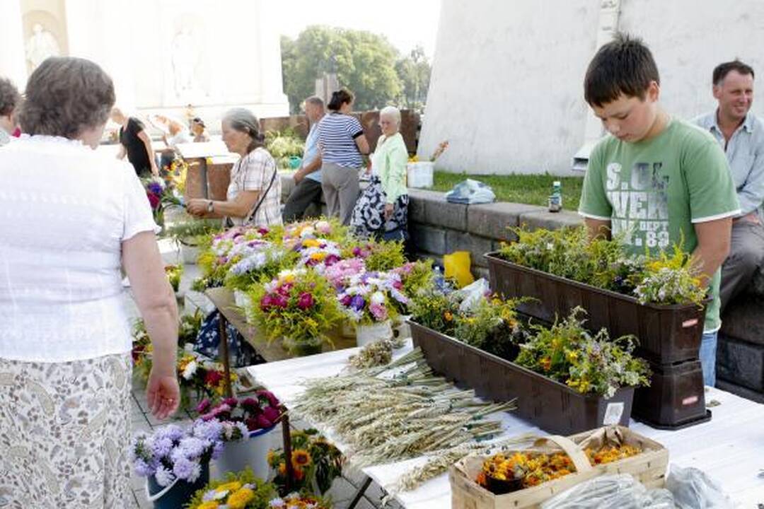 Žolinė sostinėje - su svajonėmis apie "kermošių"
