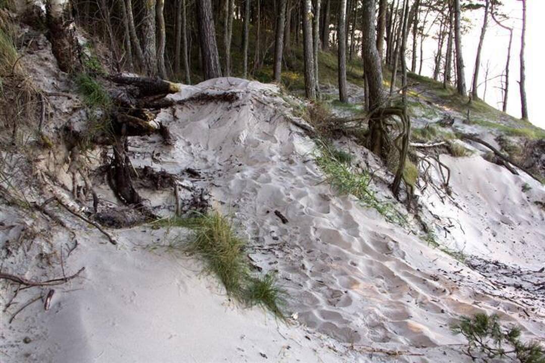 Kelionė smėliu: Pajūrio regioninis parkas