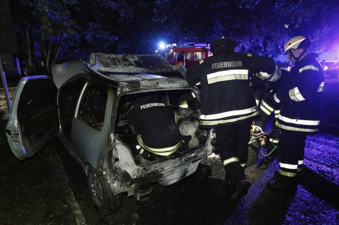 Berlyne ketvirtą naktį liepsnojo automobiliai