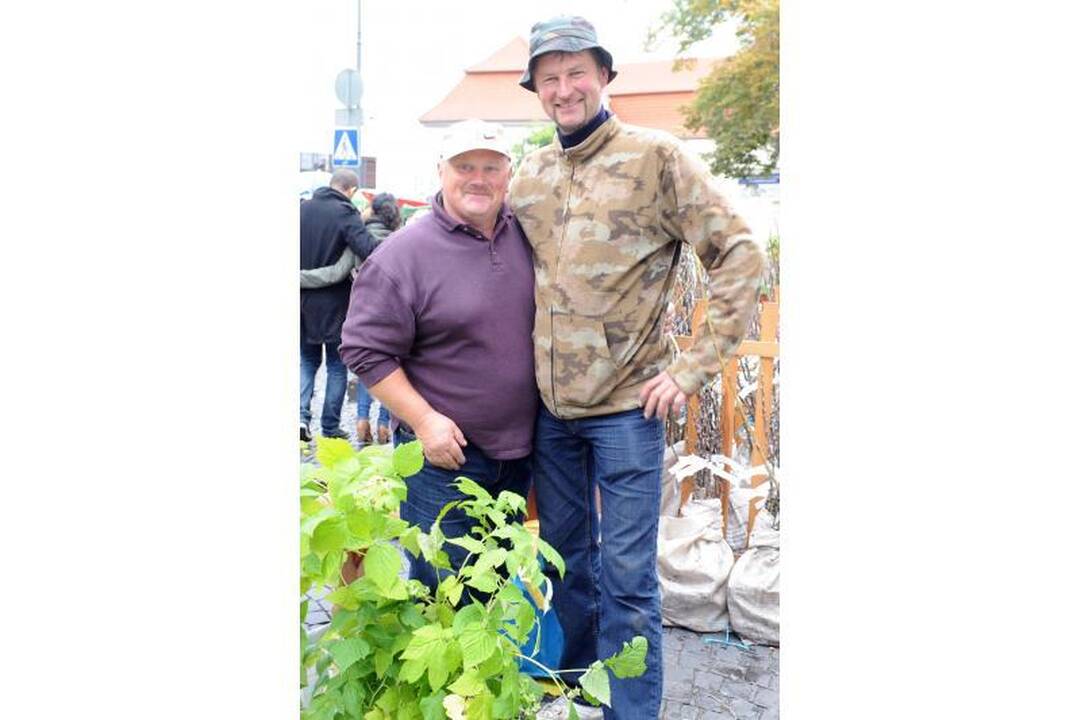 Vilniuje - tradicinė rudens gėrybių mugė 