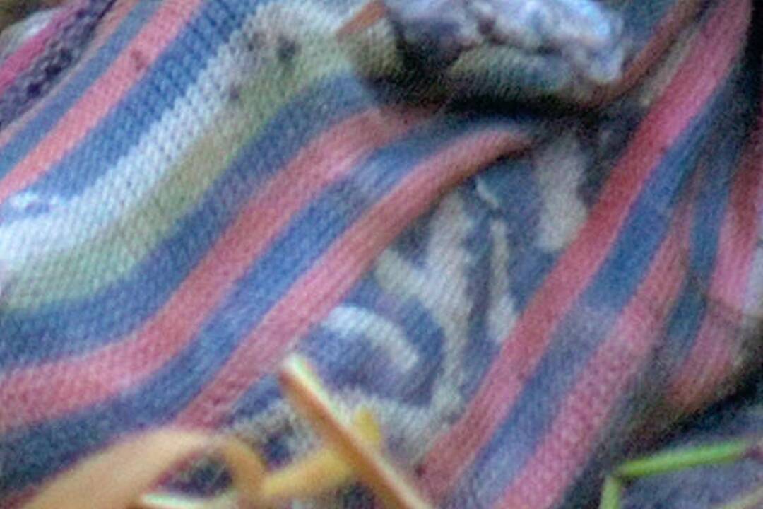 Vilniaus laukymėje žmogaus lavonas rastas po metų