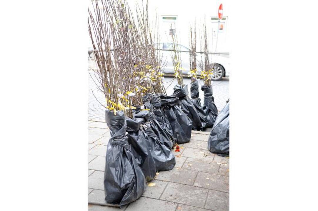 Vilniuje - tradicinė rudens gėrybių mugė 
