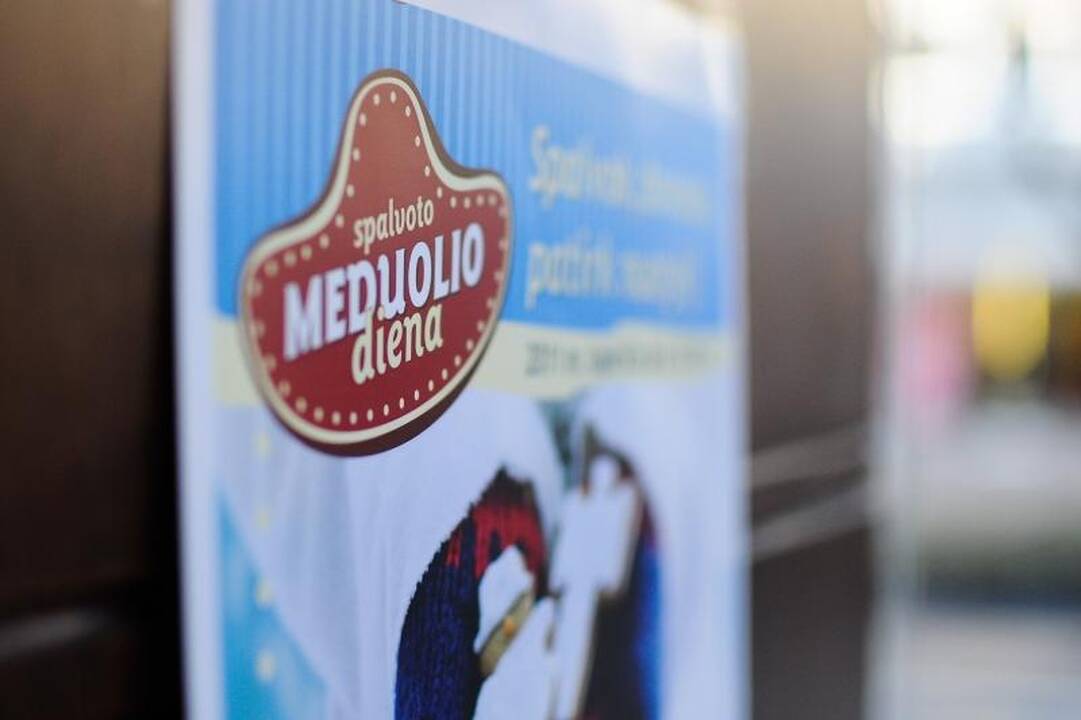 Meduolius spalvino ir vaikai,  ir rokeriai
