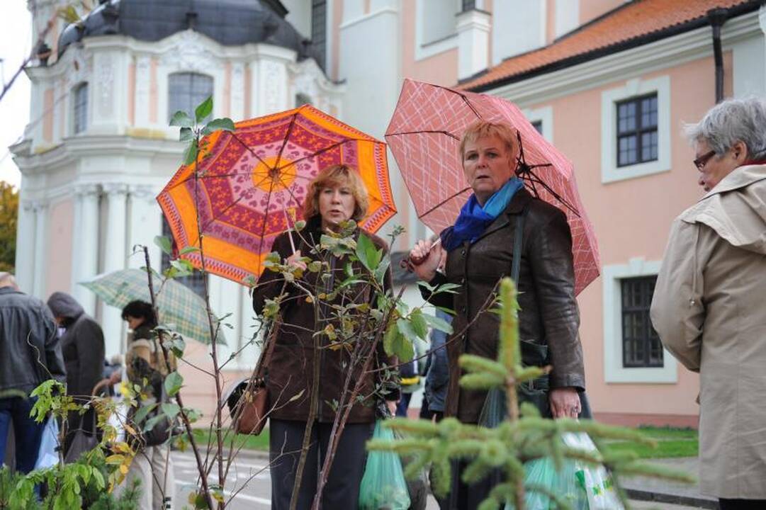 Vilniuje - tradicinė rudens gėrybių mugė 
