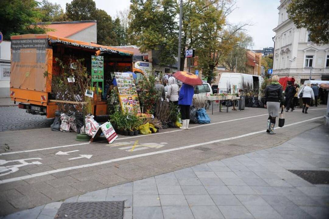 Vilniuje - tradicinė rudens gėrybių mugė 