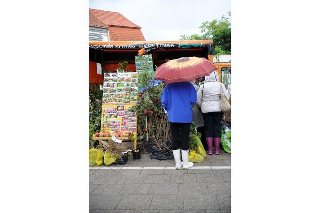 Vilniuje - tradicinė rudens gėrybių mugė 