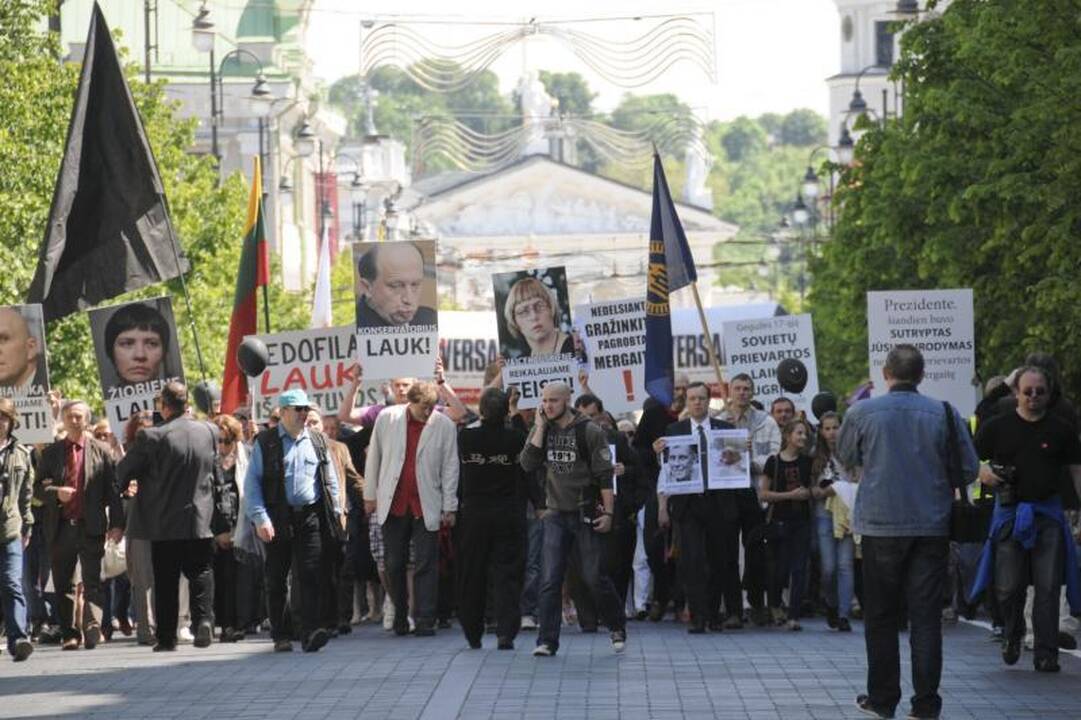 Vilniuje į mitingą rinkosi žmonės, sujaudinti vaiko likimo