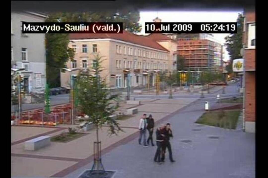 Klaipėdos policija ieško berniuko skulptūros niokotojų