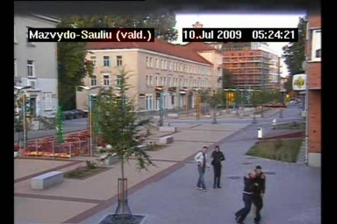 Klaipėdos policija ieško berniuko skulptūros niokotojų