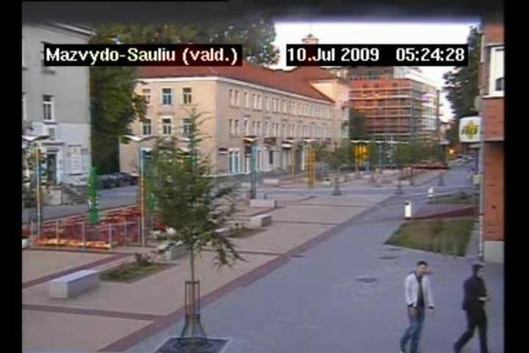 Klaipėdos policija ieško berniuko skulptūros niokotojų