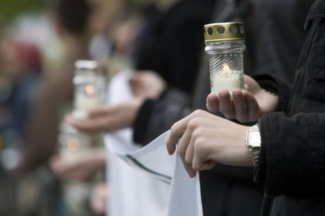 Veteranų eitynes Vilniuje lydėjo priešiški šūkiai (papildyta 15.50 val.)