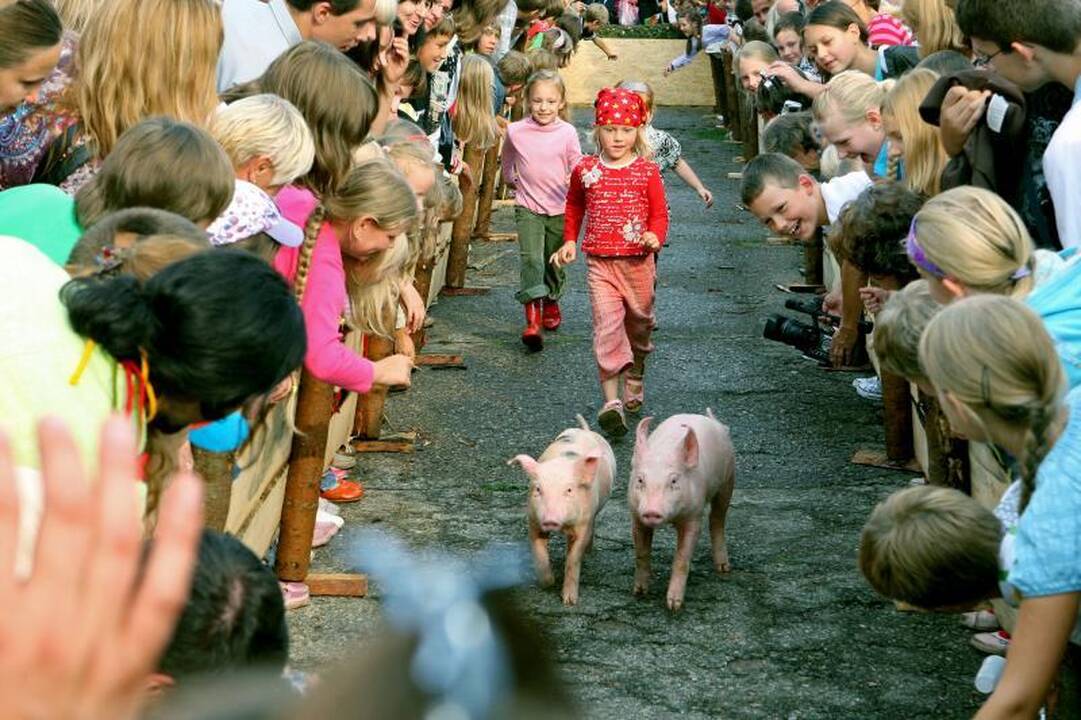 Didžiausia šventė Kauno istorijoje - tarptautinės Hanzos dienos - po kelių dienų