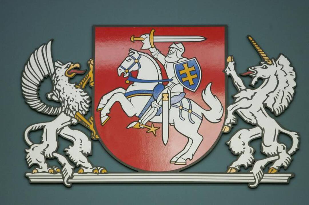 Lietuvai svarstant dėl Vyčio, jį gali susigrąžinti Baltarusija