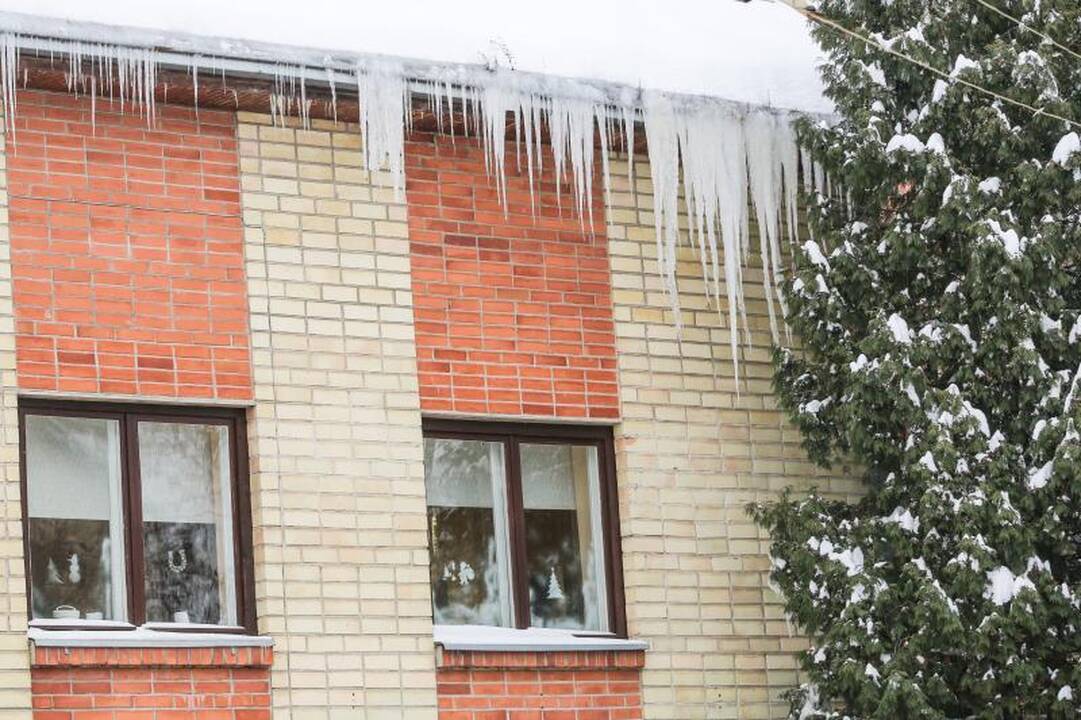 Pirmieji varvekliai jau grasina praeiviams