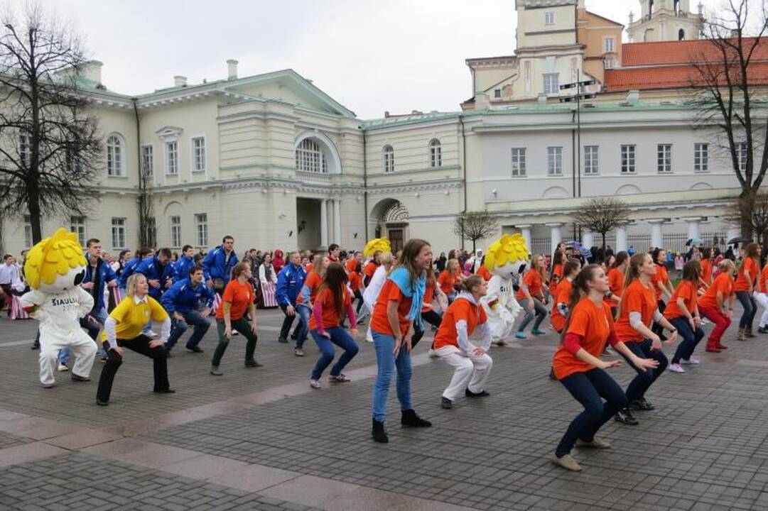 Prezidentūros kiemelyje - timborelo, ripka ir paplūdimio tinklinis