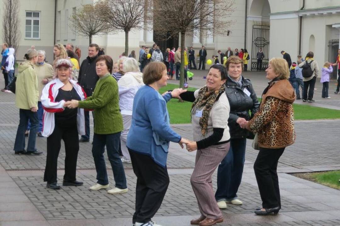 Prezidentūros kiemelyje - timborelo, ripka ir paplūdimio tinklinis