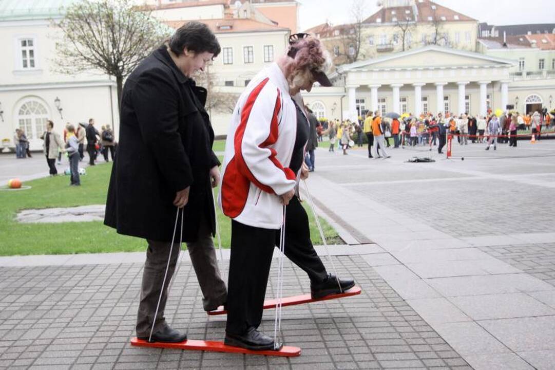 Prezidentūros kiemelyje - timborelo, ripka ir paplūdimio tinklinis