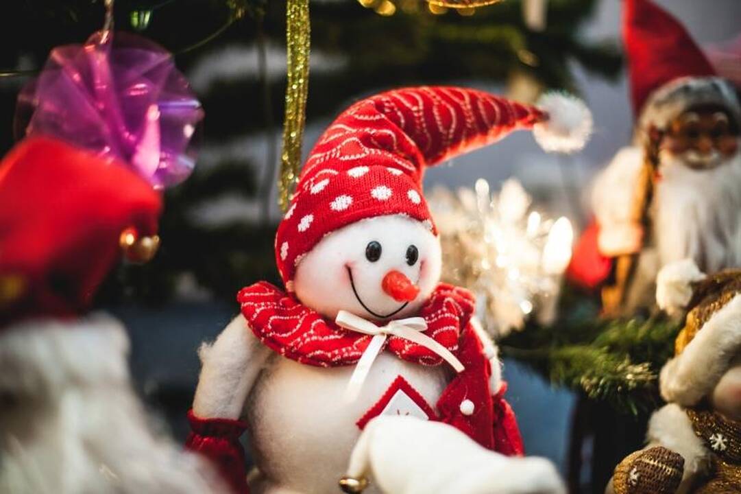 Kaunietės namuose gyvena 100 Kalėdų senelių
