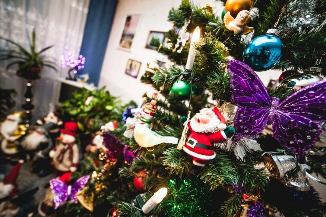 Kaunietės namuose gyvena 100 Kalėdų senelių
