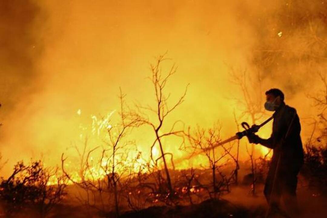 Izraelyje siaučiantys miškų gaisrai nusinešė 41 žmogaus gyvybę (papildyta)