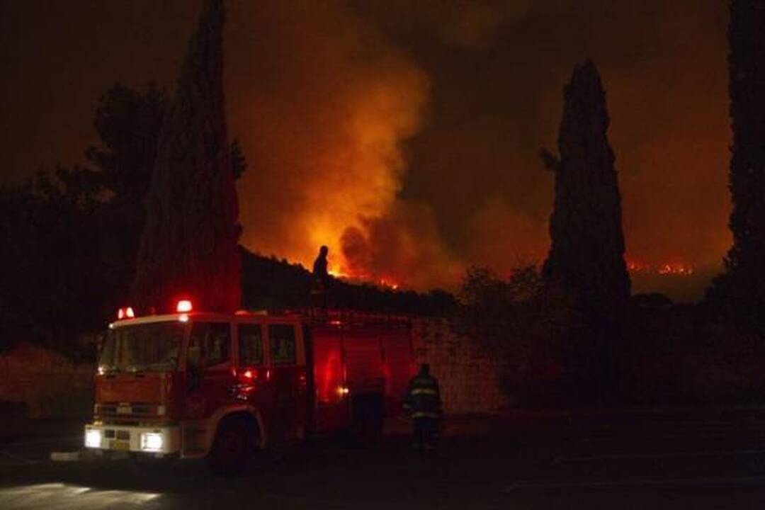 Izraelyje siaučiantys miškų gaisrai nusinešė 41 žmogaus gyvybę (papildyta)