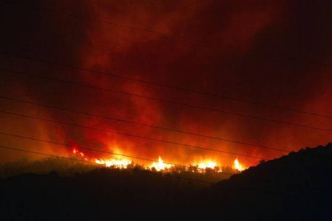 Izraelyje siaučiantys miškų gaisrai nusinešė 41 žmogaus gyvybę (papildyta)