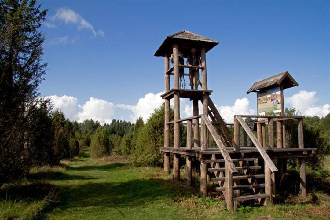 Kelionė po Vaclovo Into akmenų pasaulį  