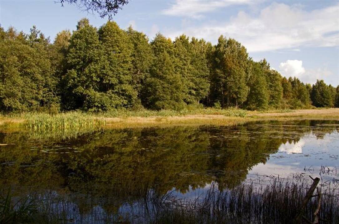 Kelionė po Vaclovo Into akmenų pasaulį  