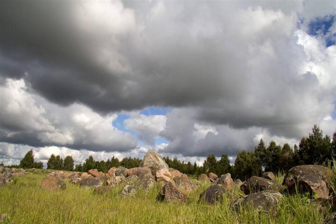 Kelionė po Vaclovo Into akmenų pasaulį  