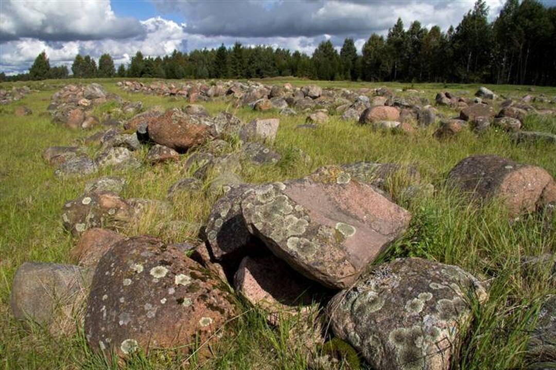 Kelionė po Vaclovo Into akmenų pasaulį  