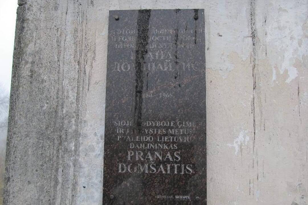 Sudegė dailininko P.Domšaičio gimtasis namas