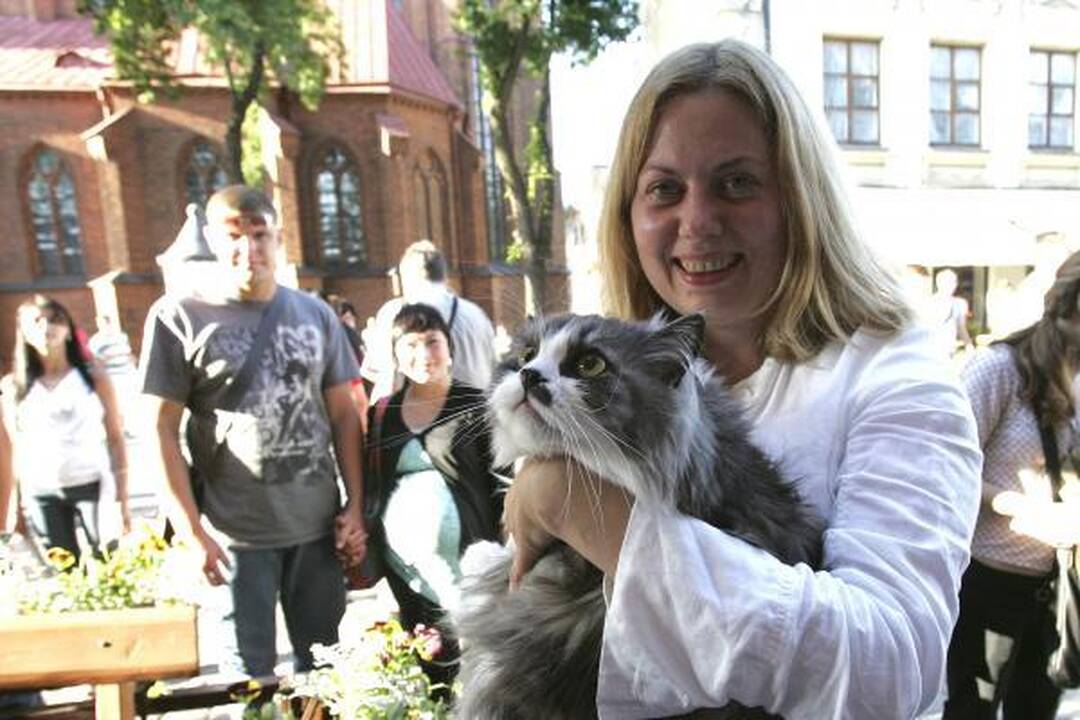 Senamiesčio šventė: buvo ir meilės, ir bulvių, ir pykčio