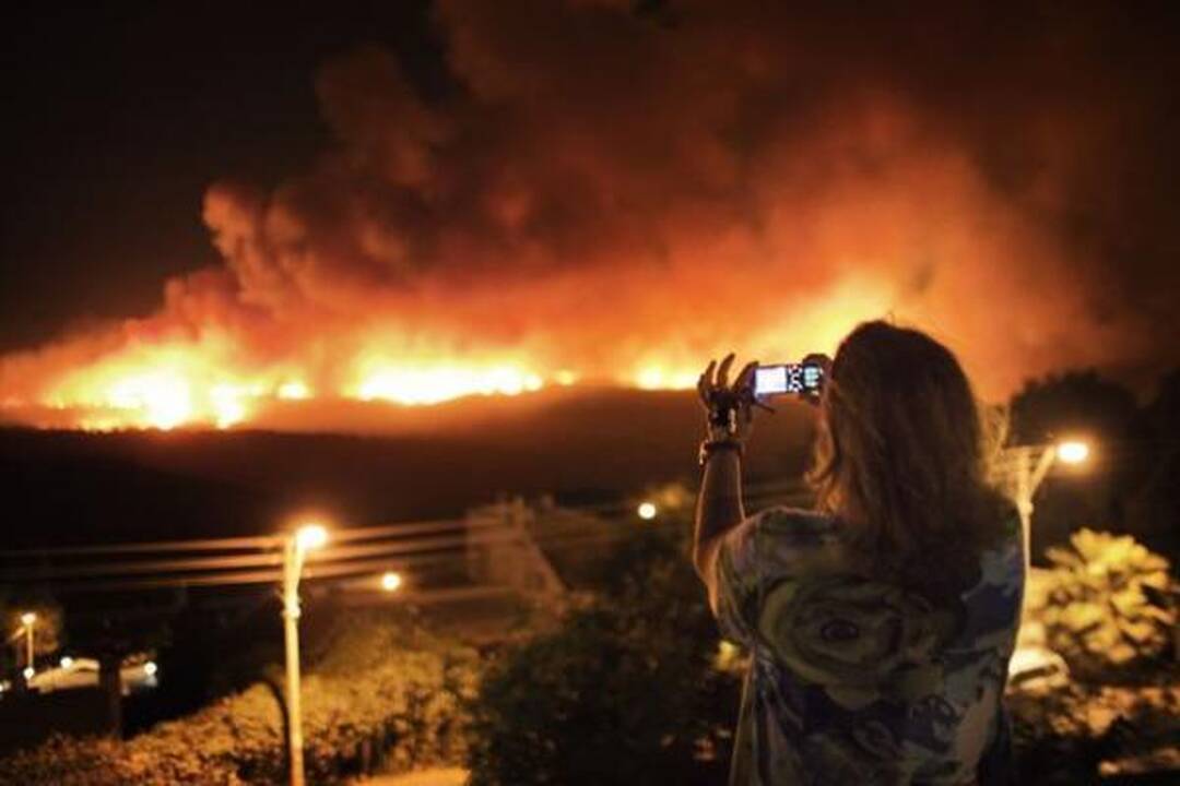 Izraelyje siaučiantys miškų gaisrai nusinešė 41 žmogaus gyvybę (papildyta)